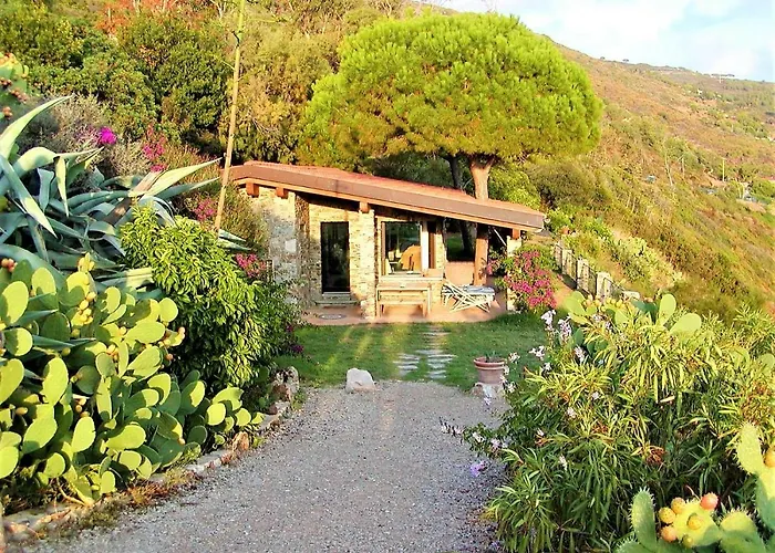 Erste * 카폴리베리